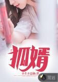 狐婿
