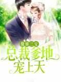 傲娇三宝：总裁爹地宠上天安以甜