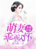 先婚后爱，萌妻乖乖入怀