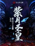 紫月圣皇叶枫笔趣阁